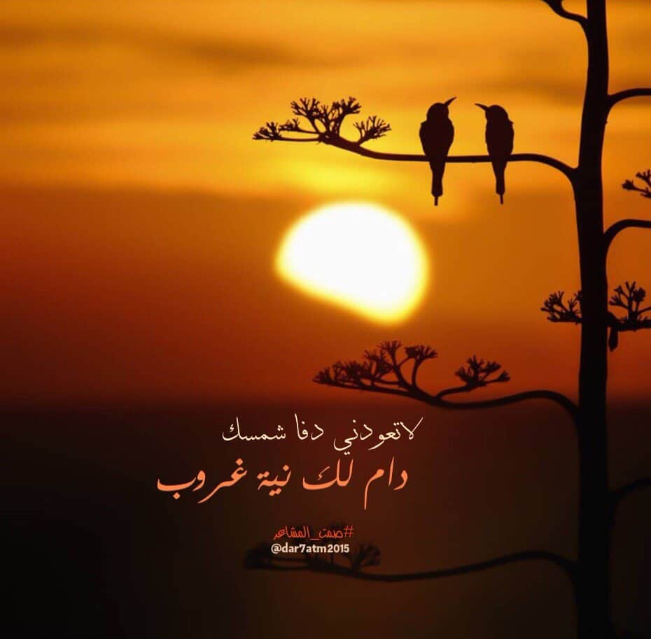 عبارات عن غروب الشمس تويتر 1