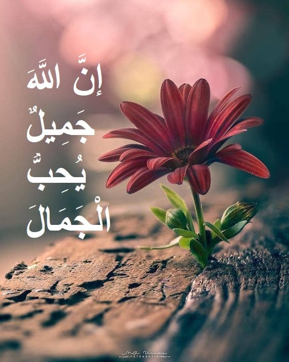 إن الله جميل يحب الجمال بالتشكيل1