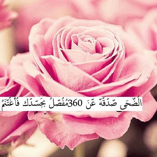 بوست عن صلاة الضحى 1