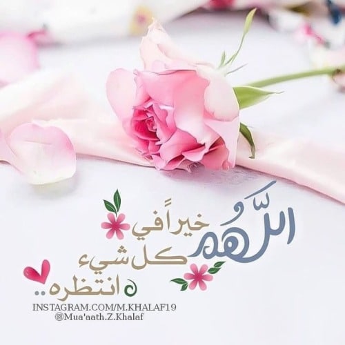 عبارات تويتر عظيمة4