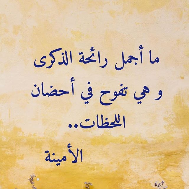 كلمات عن رائحة الحبيب تويتر ٢