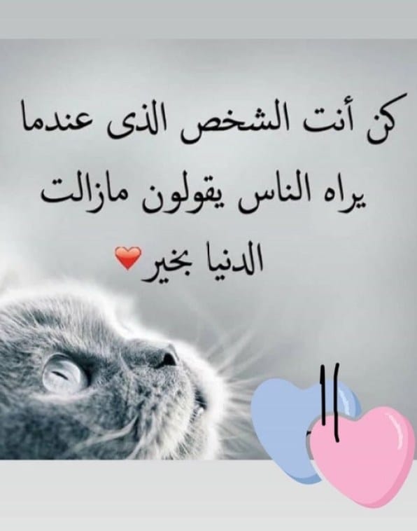 كلام جميل عن شخص طيب القلب تويتر 2