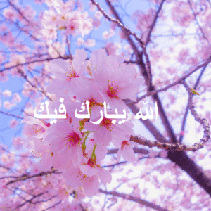 الله يبارك فيك