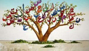 امثلة عن النعت السببي