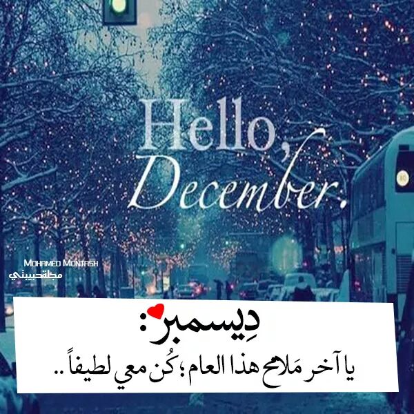 كلام ديسمبر ٤