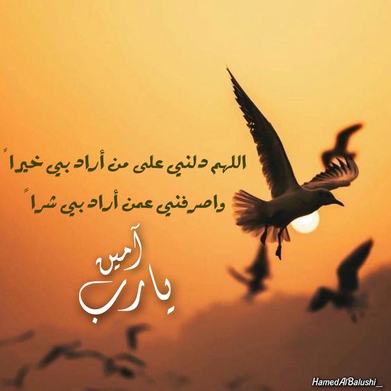 اللهم دلني على من اراد بي خيرا1