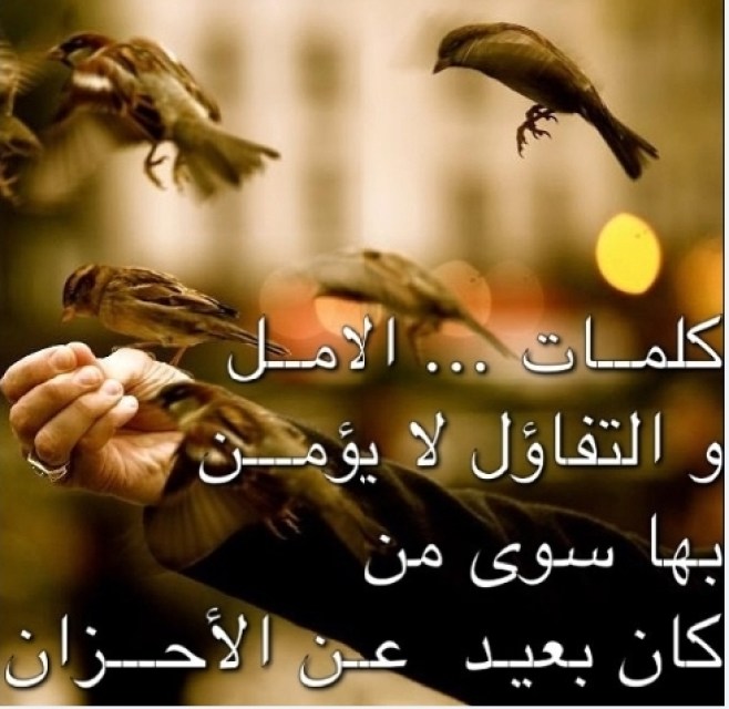 حالات عن فقدان الأمل 3