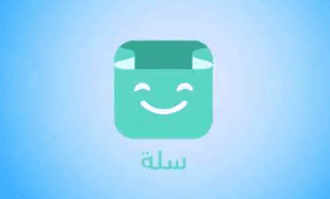 سلة تسجيل الدخول