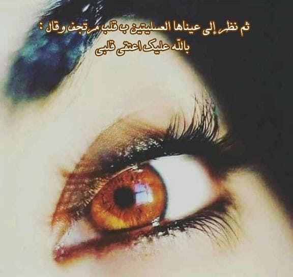 كلام عن العيون العسلية فيس بوك 4