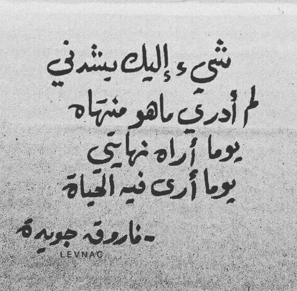عبارات عن طريق الحياة تويتر 3