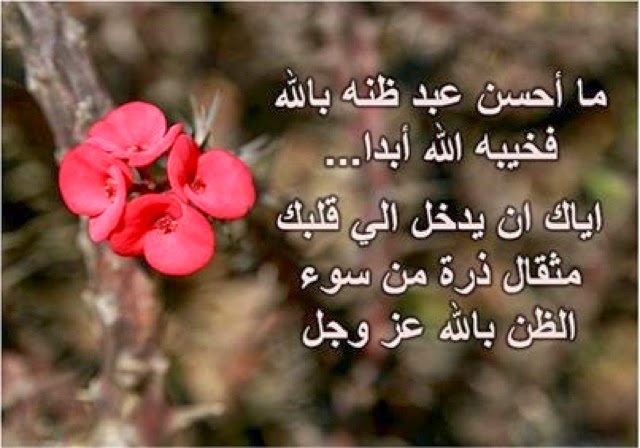 كلام عن رحمة الله الواسعة ١
