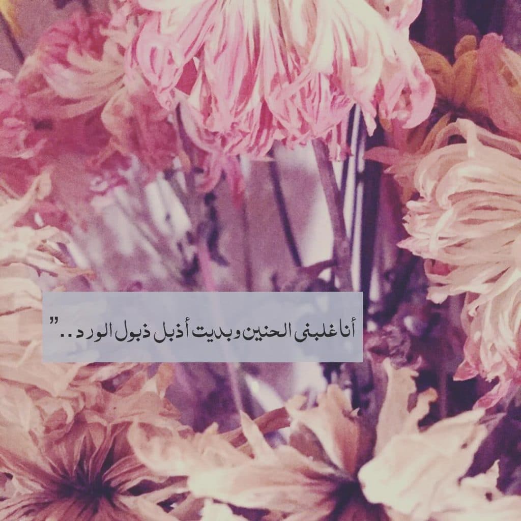 عبارات عن ذبول الورد ٢