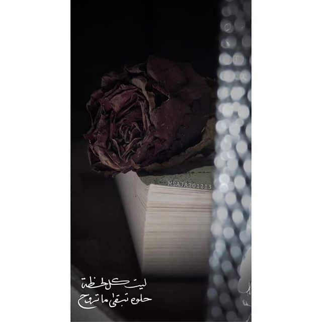 ذبل الورد خواطر ٢