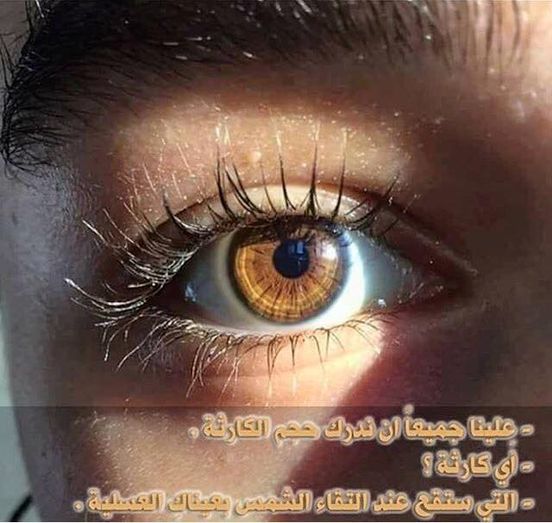 كلام عن العيون العسلية فيس بوك 5