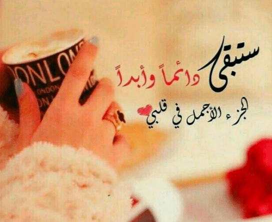 كلام عن طريق الحب تويتر 5