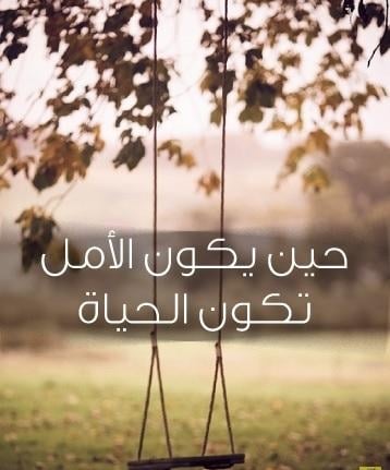 كلام عن واقع الحياة تويتر 4