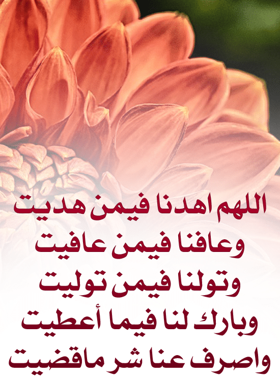 اللهم اهدنا فيمن هديت تويتر2