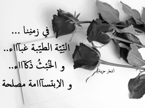 عبارات عن حسن النيه - بوستات عن النية الصافية ١