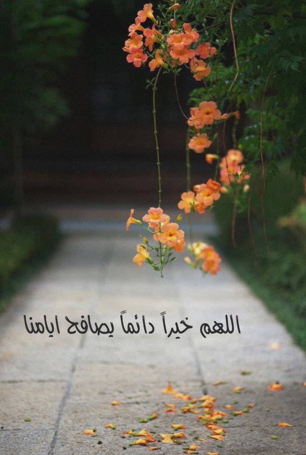 اللهم خيرًا دائمًا يُصافحُ أيامنا2