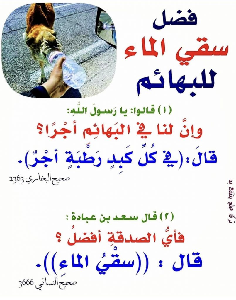 عبارات عن سقي الماء ٣