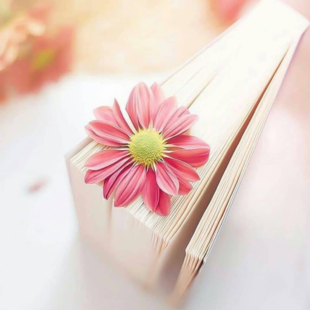 1اطارات للكتابة 2021