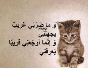 حالات عن غدر الأقارب 1