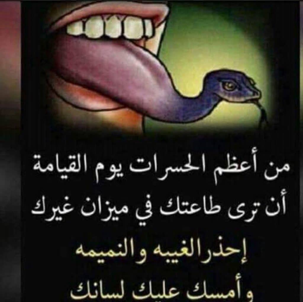 كلام عن نقل الكلام بين الناس تويتر 2