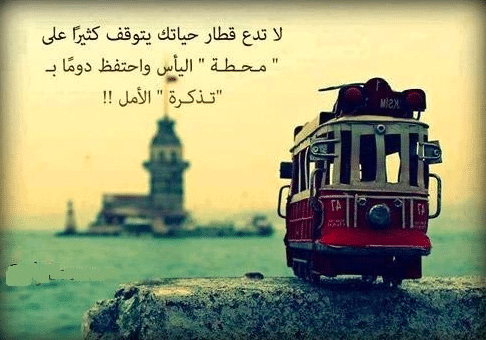 كلام عن واقع الحياة تويتر 5