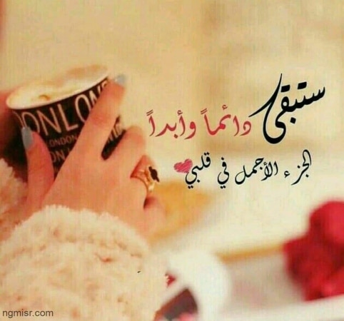 كلام حب عن شهر نوفمبر تويتر 3