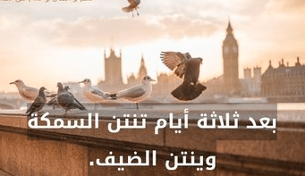 بوستات عن الضيف الثقيل 1