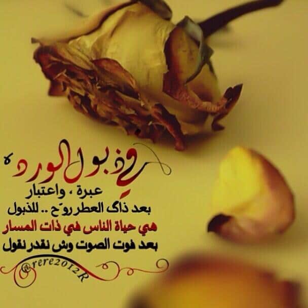 ذبل الورد خواطر ١