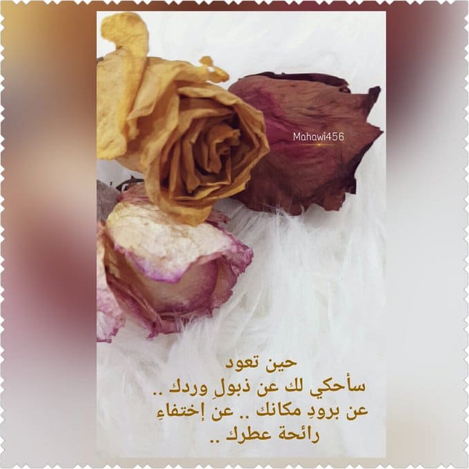عبارات عن ذبول الورد ٣