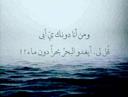 بوستات عن الاب السند ٣