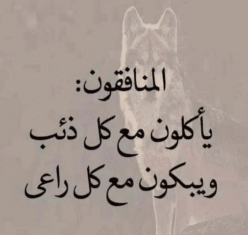 عبارات عن الناس المنافقة