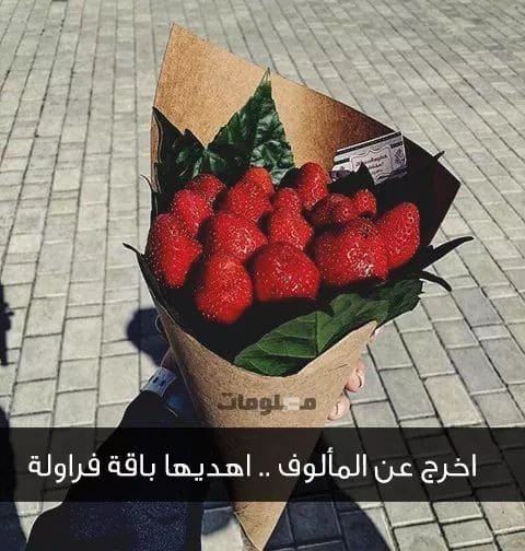كلام عن الفراولة تويتر 5