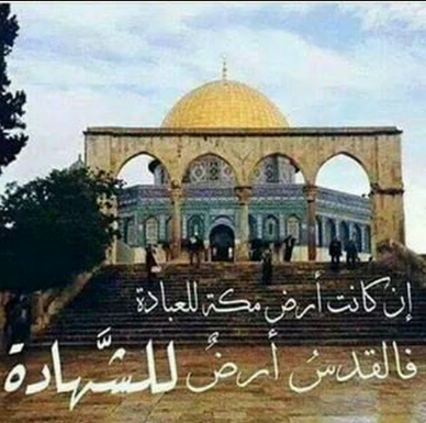 اجمل الصور والعبارات عن فلسطين 2