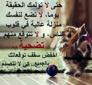عبارات عن سقف التوقعات