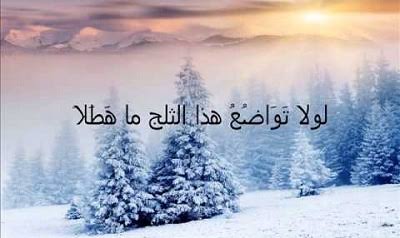 بوستات عن الثلج ٢