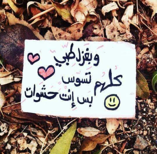 غزل بتخصص العربي
