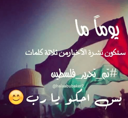 عبارات عن فلسطين