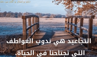 غزل عن التجاعيد