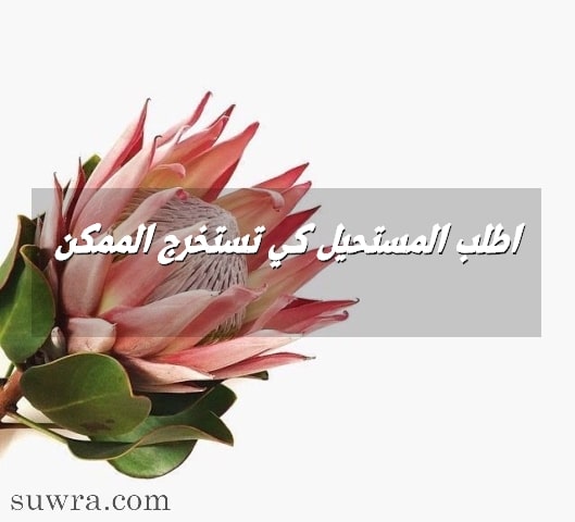 اطلب المستحيل كي تستخرج الممكن