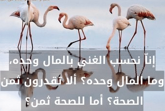 أقوال عن المرأة التي تحب المال