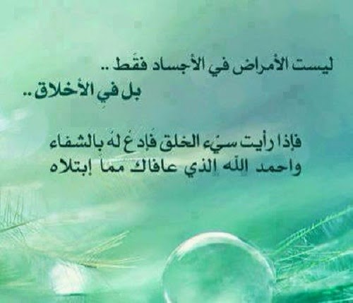 أقوال فلاسفة عن الأخلاق