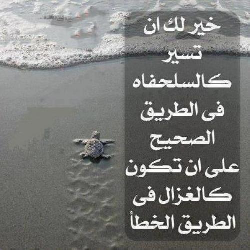 أقوال عن الطريق الصحيح