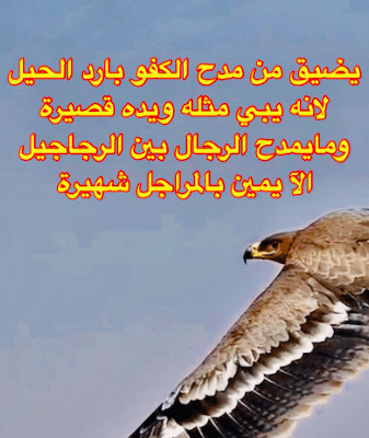وصف رجل شهم