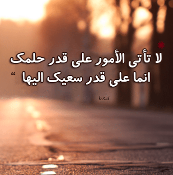 عبارات عن السعي