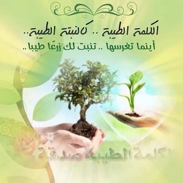 أثر الكلمة الطيبة على النفس