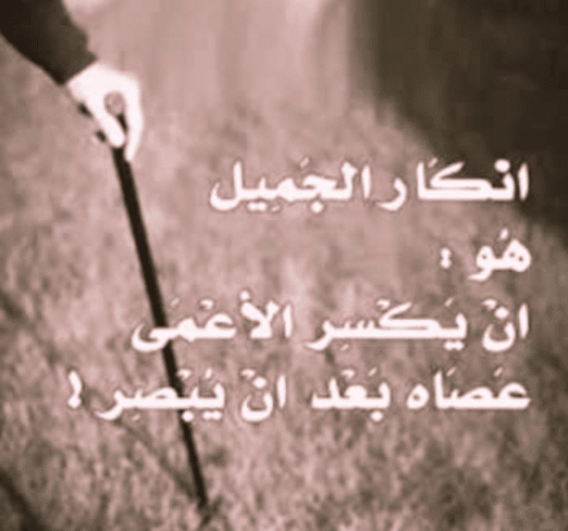 كلمات وصور عن ناكر الجميل 1