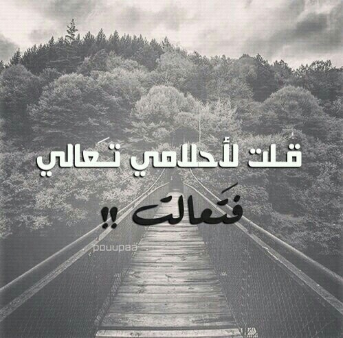عبارات عن ضياع الحلم
